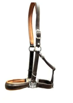 Equestrian Supply Store -Equestrian Supply Store english riding supply maybach halter trust i 1