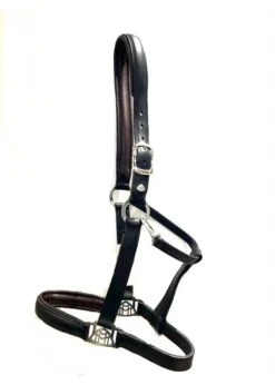 Maybach Halter Trust I