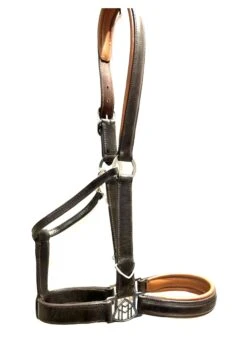 Maybach Halter Trust I -Equestrian Supply Store english riding supply maybach halter trust i 3