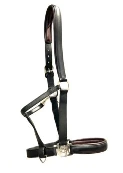 Maybach Halter Trust I -Equestrian Supply Store english riding supply maybach halter trust i 4