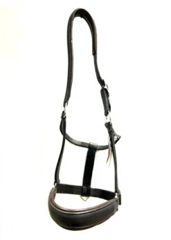 Maybach Halter Trust I -Equestrian Supply Store english riding supply maybach halter trust i 5