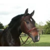 21-BE Equusport Hunter Bridle, 1 1/8" Noseband (small Pony Is 7/8"), Lightly Raised Fancy Stitch, Steel Buckles, Matching Reins Sold Seperatly -Equestrian Supply Store equusport 21 be equusport hunter bridle 1 1 8 nose