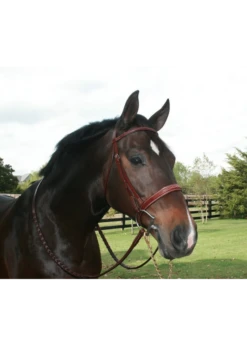 21-BE Equusport Hunter Bridle, 1 1/8" Noseband (small Pony Is 7/8"), Lightly Raised Fancy Stitch, Steel Buckles, Matching Reins Sold Seperatly