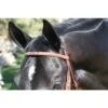 Equusport Jimmy’s Fancy Stitch Browband -Equestrian Supply Store equusport equusport jimmys fancy stitch browband