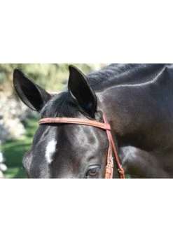 Equusport Jimmy’s Fancy Stitch Browband