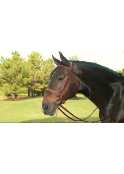 Equusport Jimmy’s Hunter Bridle