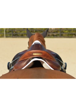 Equestrian Supply Store -Equestrian Supply Store essential square pad 1