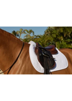 Essential Square Pad