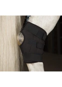 Incrediwear Circulation Hock Boot