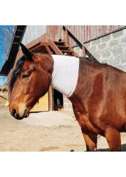Incrediwear Circulation Neck Sleeve -Equestrian Supply Store incrediwear incrediwear circulation neck sleeve 1