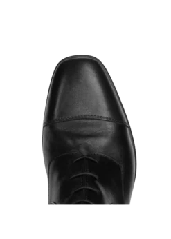 Parlanti Dallas Pro Field Tall Boots. Superior Quality Calf W/ Buffalo Leather Interior, Compact Square Toe, Back Elastic Insert, Back Zipper, Flexible Rubber/latex Sole, Shock-absorbing Technology, 6 Month Warranty -Equestrian Supply Store parlanti parlanti dallas pro field tall boots supe 6