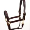 Perri’s Fancy Stitched Horse Leather Halter