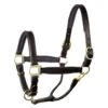 Perri’s Padded Leather Halter
