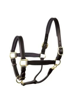 Perri’s Padded Leather Halter