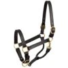 Perri’s Show Halter -Equestrian Supply Store perris show halter