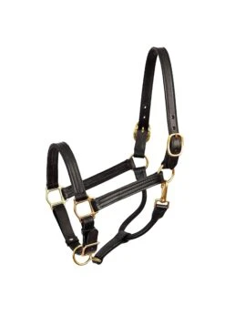 Perri’s Show Halter