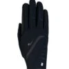 Roeckl Willow Winter Glove 1 Roeckl Willow Winter Glove -Equestrian Supply Store roeckl roeckl willow winter glove