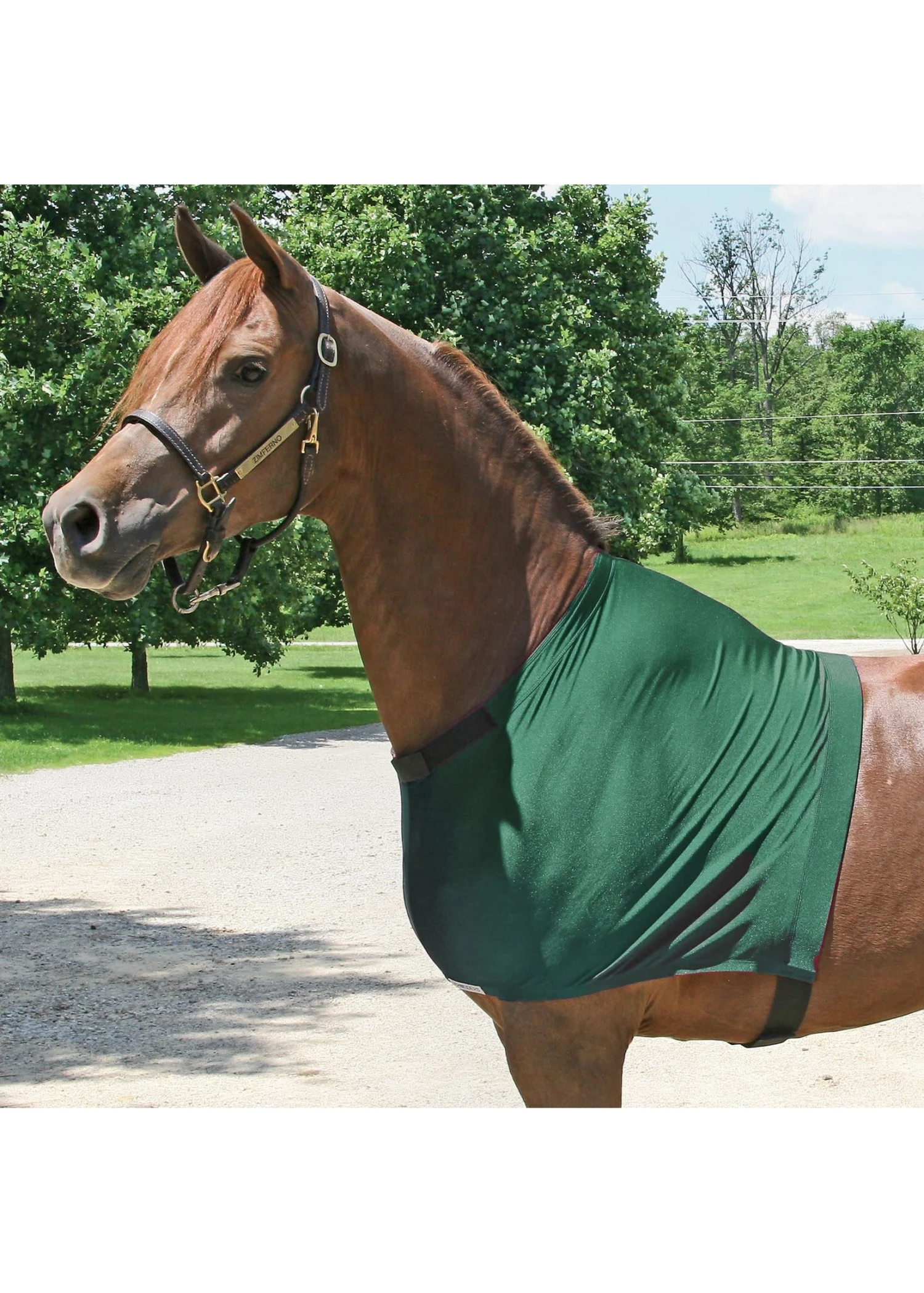 Schneiders UltraFlex Shoulder Guard 5 Schneiders UltraFlex Shoulder Guard - Image 3