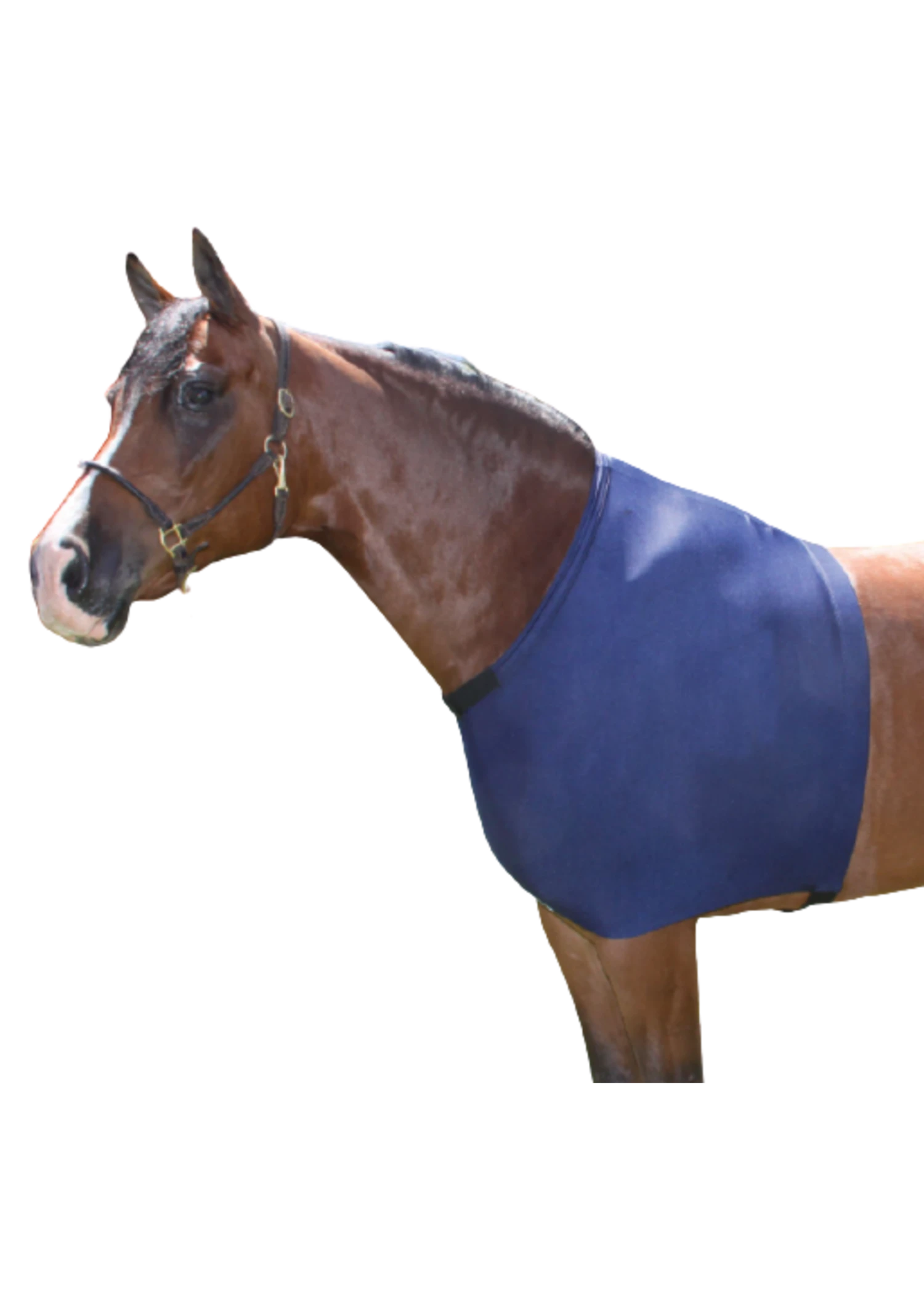 Schneiders UltraFlex Shoulder Guard 7 Schneiders UltraFlex Shoulder Guard - Image 5