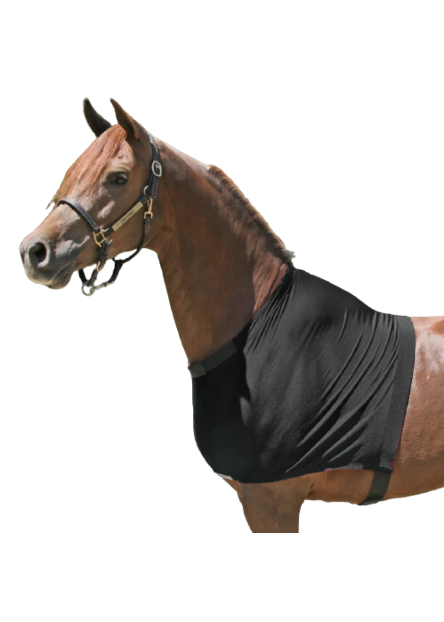 Schneiders UltraFlex Shoulder Guard 8 Schneiders UltraFlex Shoulder Guard - Image 6