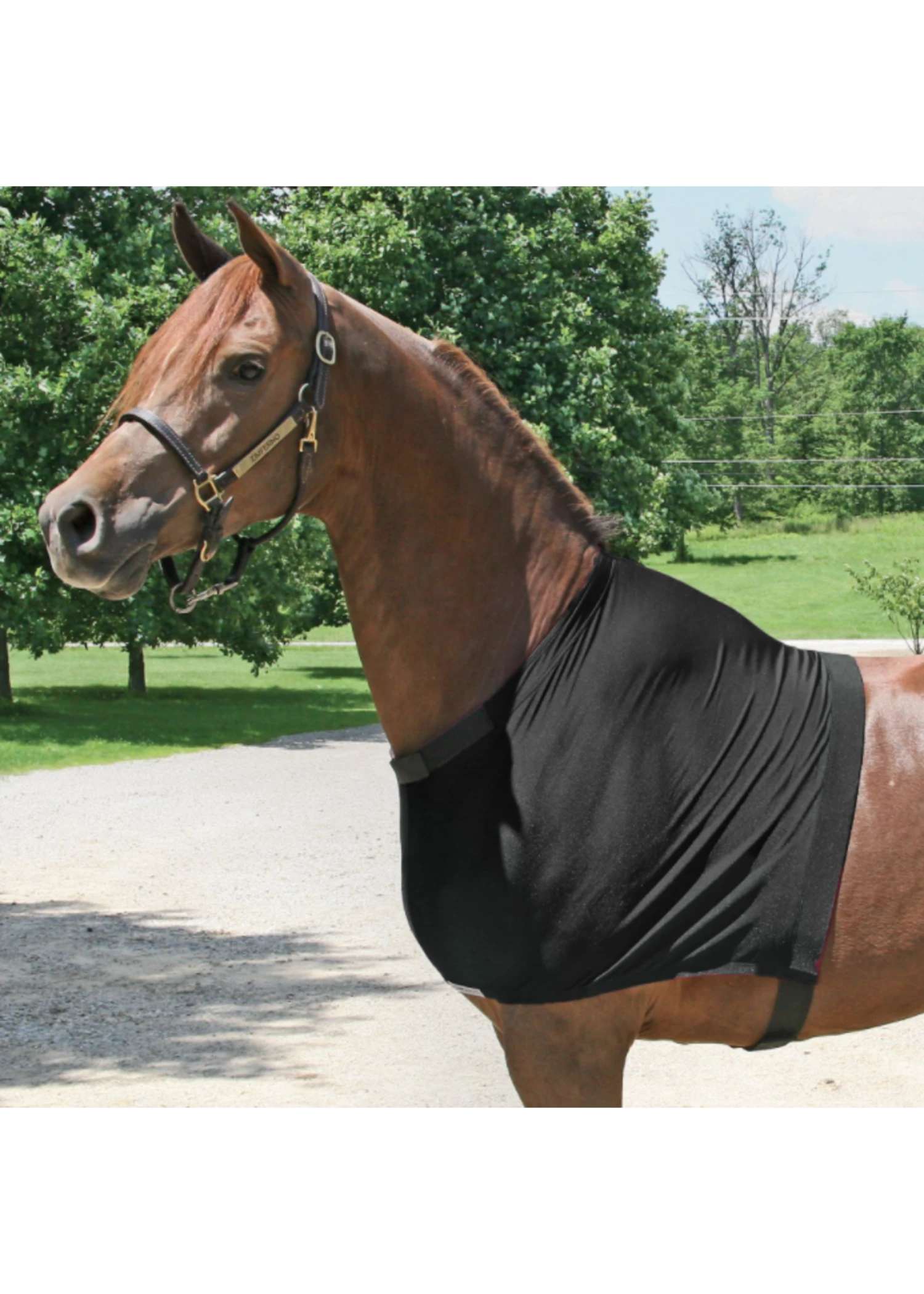 Schneiders UltraFlex Shoulder Guard 3 Schneiders UltraFlex Shoulder Guard