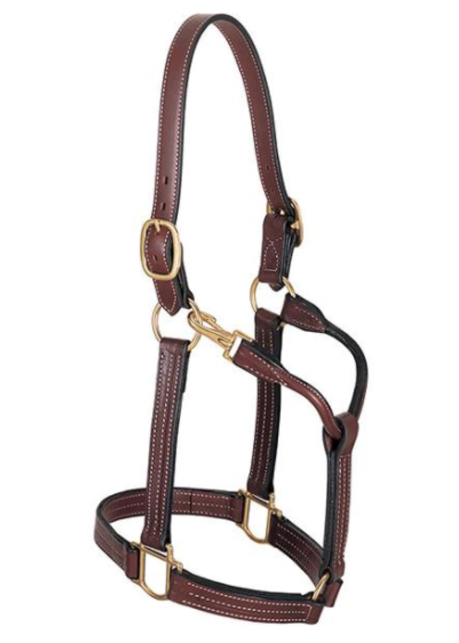 Walsh British Halter 4 Walsh British Halter - Image 2