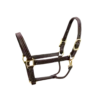 Walsh British Halter -Equestrian Supply Store walsh company walsh british halter