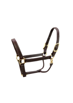 Walsh British Halter