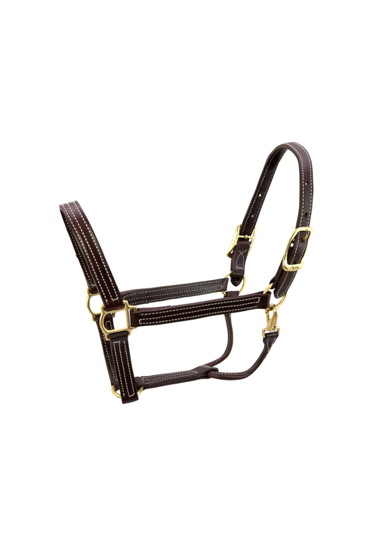 Walsh British Halter 3 Walsh British Halter