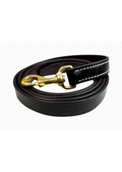 Walsh Leather Lead W/ Snap