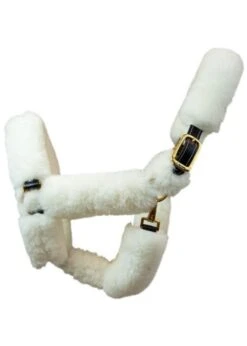 Walsh Shipping Halter