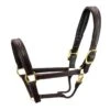 Walsh Signature Halter