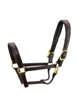 Walsh Signature Halter