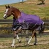 Weatherbeeta PONY Comfitech Plus Dynamic -Equestrian Supply Store weatherbeeta pony comfitech plus dynamic
