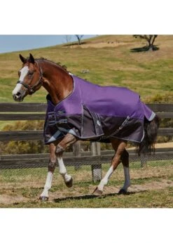 Weatherbeeta PONY Comfitech Plus Dynamic