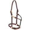 Weaver Double Buckle Crown Halter -Equestrian Supply Store weaver double buckle crown halter